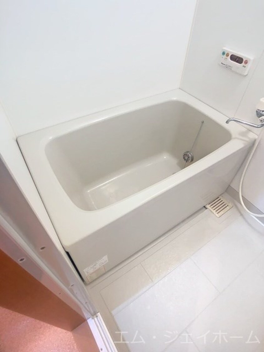  ブランコカメーリア