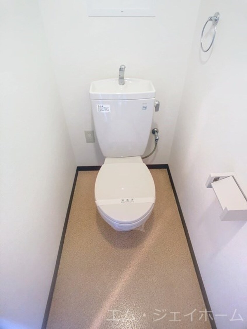  ブランコカメーリア