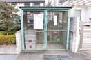  ウィステリア