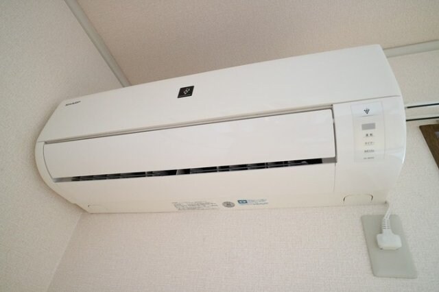  フレマリール林