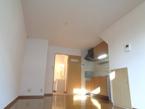  ピースポーター