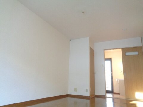  ピースポーター