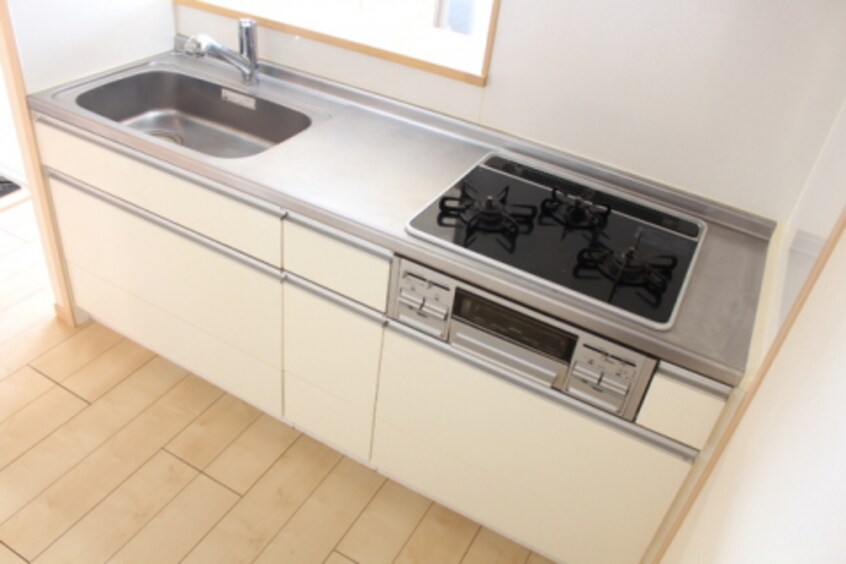  Ｅｖｅｒ　Ｇｒｅｅｎ　Ｆｕｊｉ