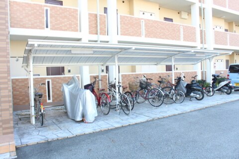  Ｅｖｅｒ　Ｇｒｅｅｎ　Ｆｕｊｉ