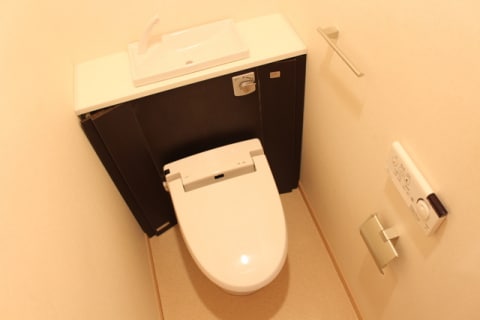  Ｅｖｅｒ　Ｇｒｅｅｎ　Ｆｕｊｉ