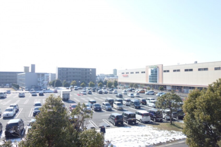  Ｅｖｅｒ　Ｇｒｅｅｎ　Ｆｕｊｉ