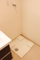  Ｅｖｅｒ　Ｇｒｅｅｎ　Ｆｕｊｉ