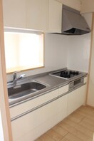  Ｅｖｅｒ　Ｇｒｅｅｎ　Ｆｕｊｉ