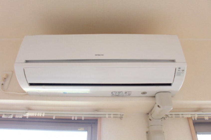  Ｅｖｅｒ　Ｇｒｅｅｎ　Ｆｕｊｉ