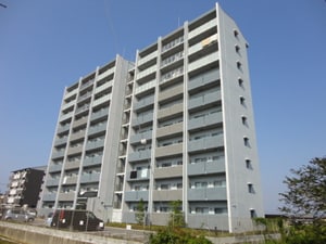 THE SKY VIEW