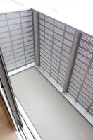  サンシャイン飛竜