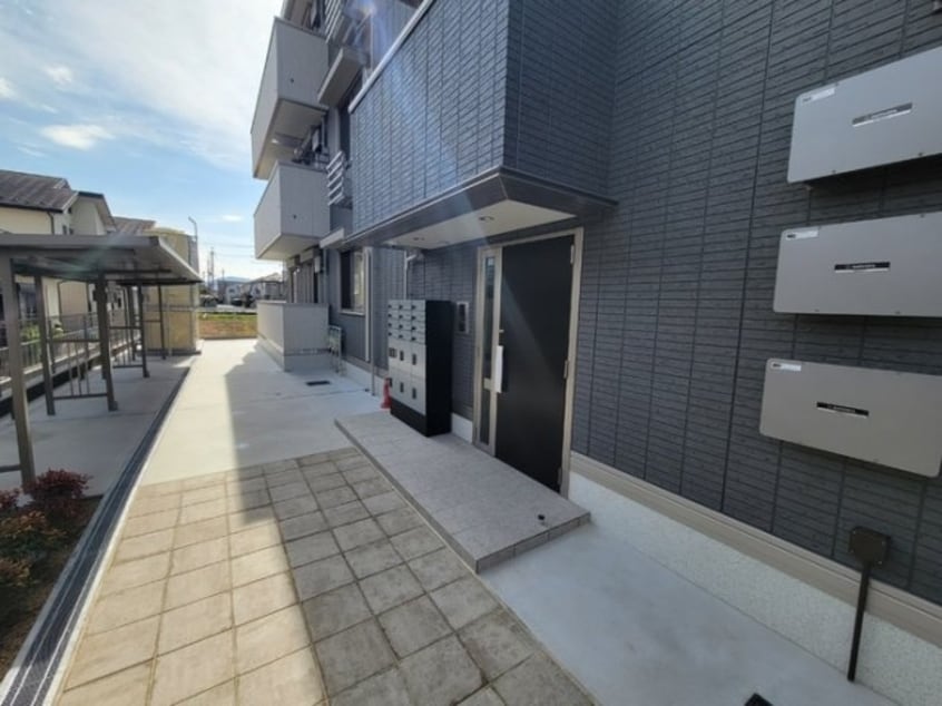  Lys Gracieux（リス　グラシュー）