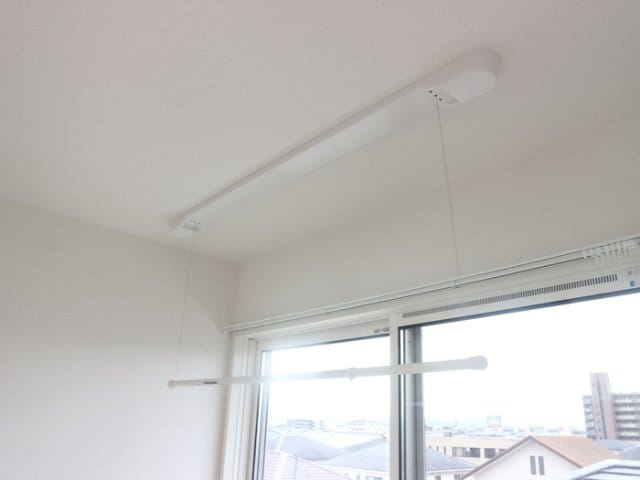  Lys Gracieux（リス　グラシュー）