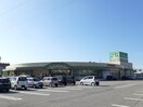 スーパーまで1000m※フタバヤ彦根店 あおきアパート