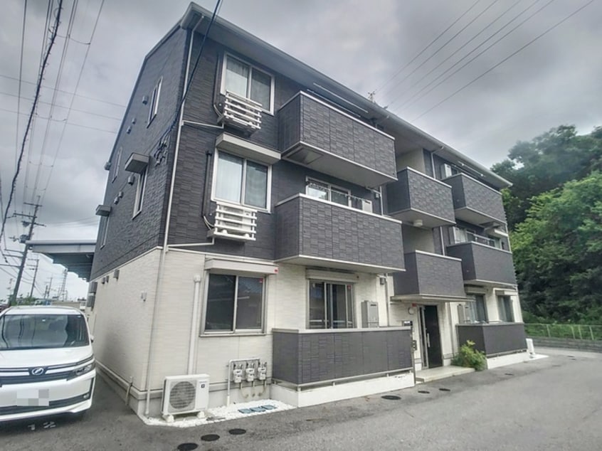  ホワイトクレイン野洲