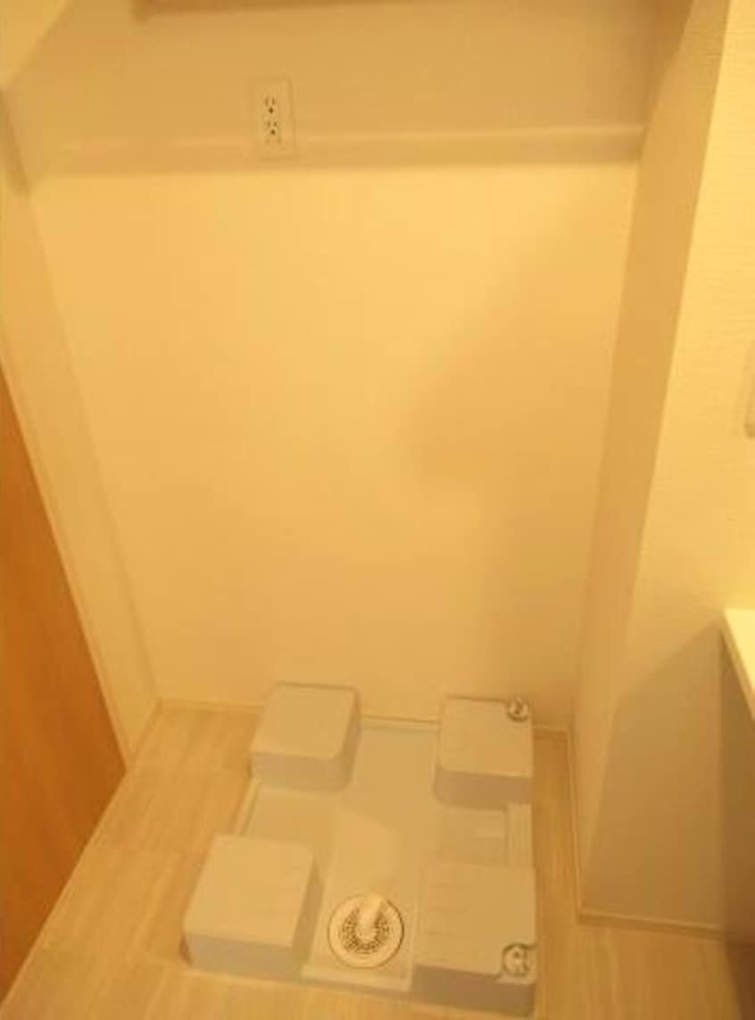  ホワイトクレイン野洲