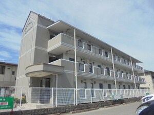 アドニスベルロード
