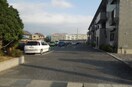  コスモ林