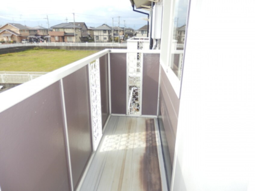  アクティブ貝田