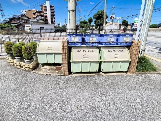  エバーグリーン植政