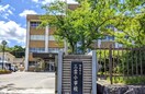 小学校まで1900m※湖南市立三雲小学校 ＮｏｒｔｈＳｔａｒ　Ｃｏｎｄｏ