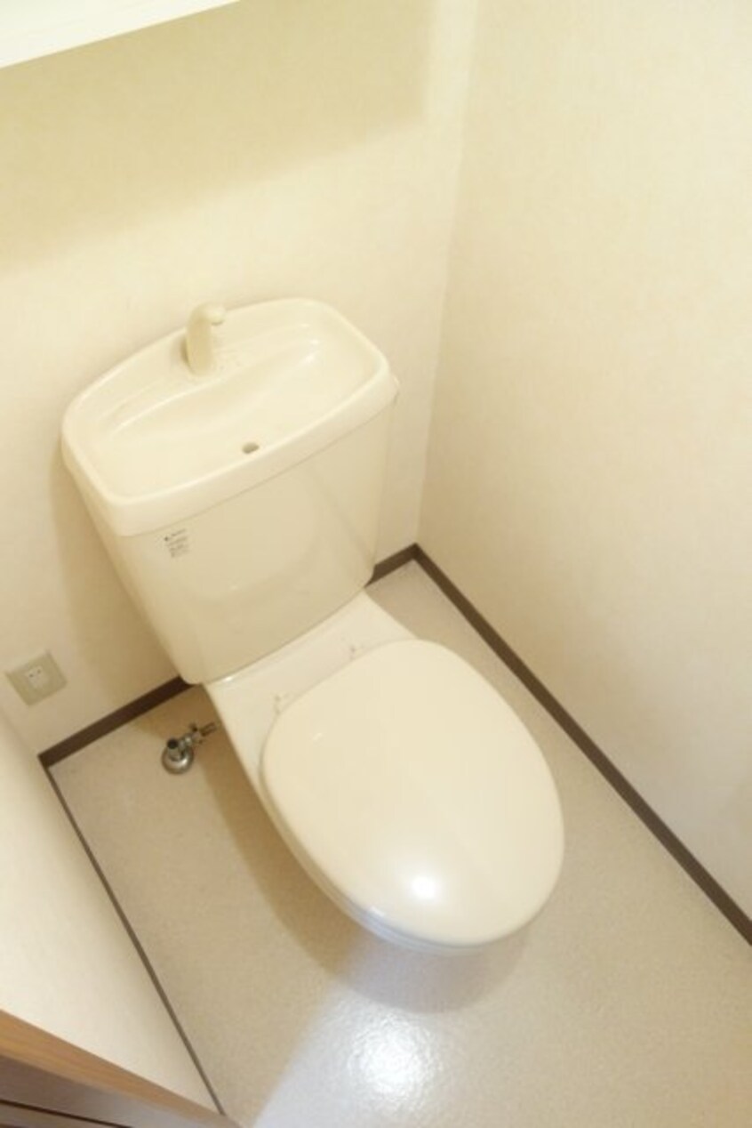  プリマヴェーラ