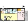 マハロ 1LDKの間取り