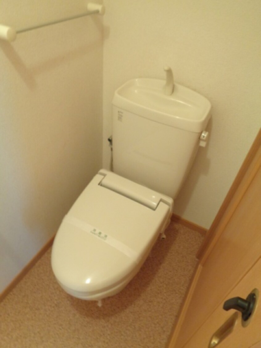  アガパンサスⅡ