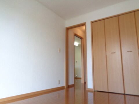  アガパンサスⅡ