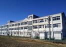 小学校まで366m※野洲市立中主小学校 仮称）野洲市西河原新築アパート