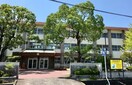小学校まで800m※甲賀市立柏木小学校 ハンズレジデンス北脇　B棟