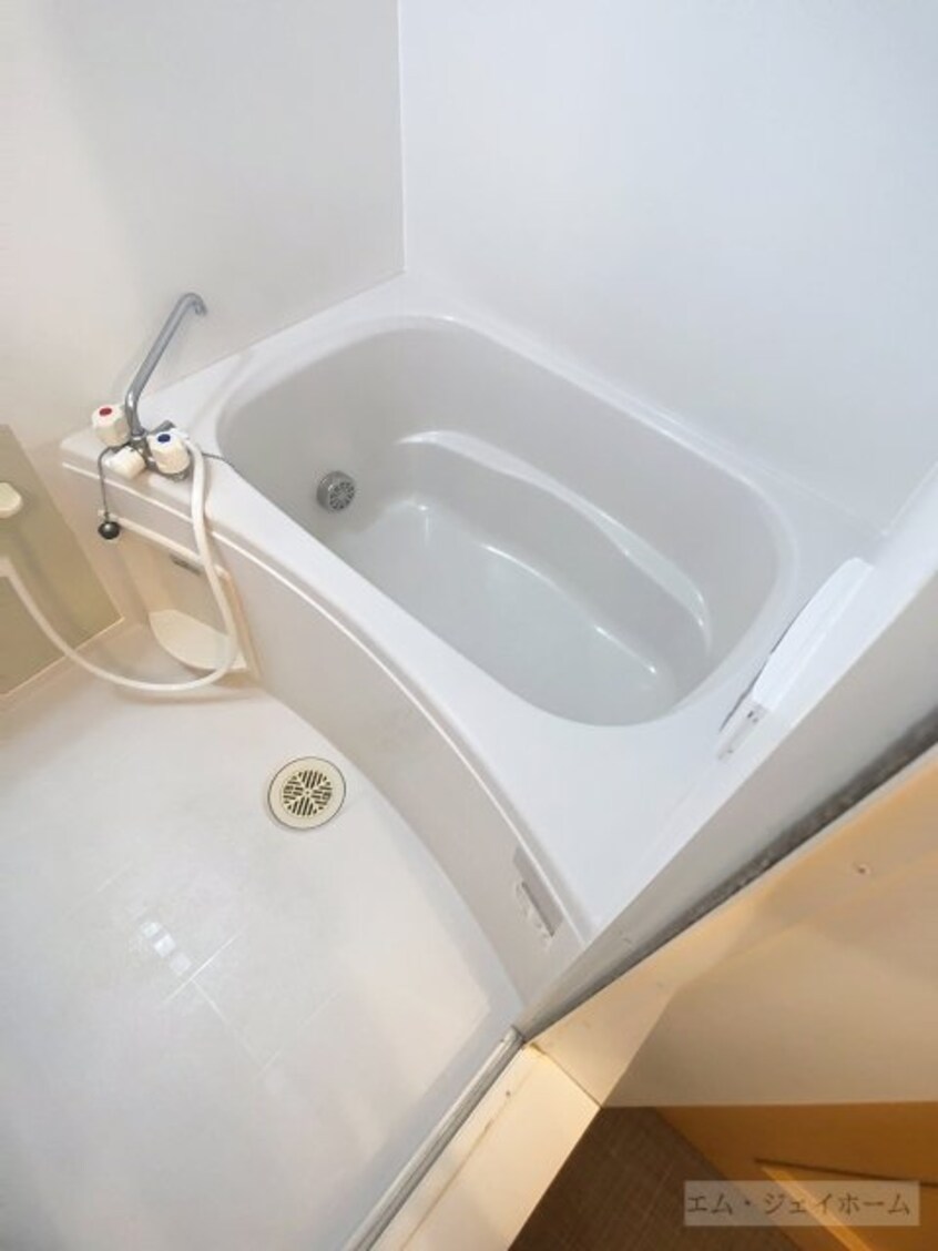  ソレアードフロレスター