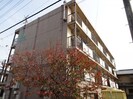ニシムラエコノム野洲の外観