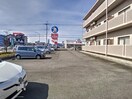  ルネス ベルドミール