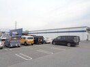 スーパーまで1264m※メガセンタートライアル彦根店 キャッスル　ハイム