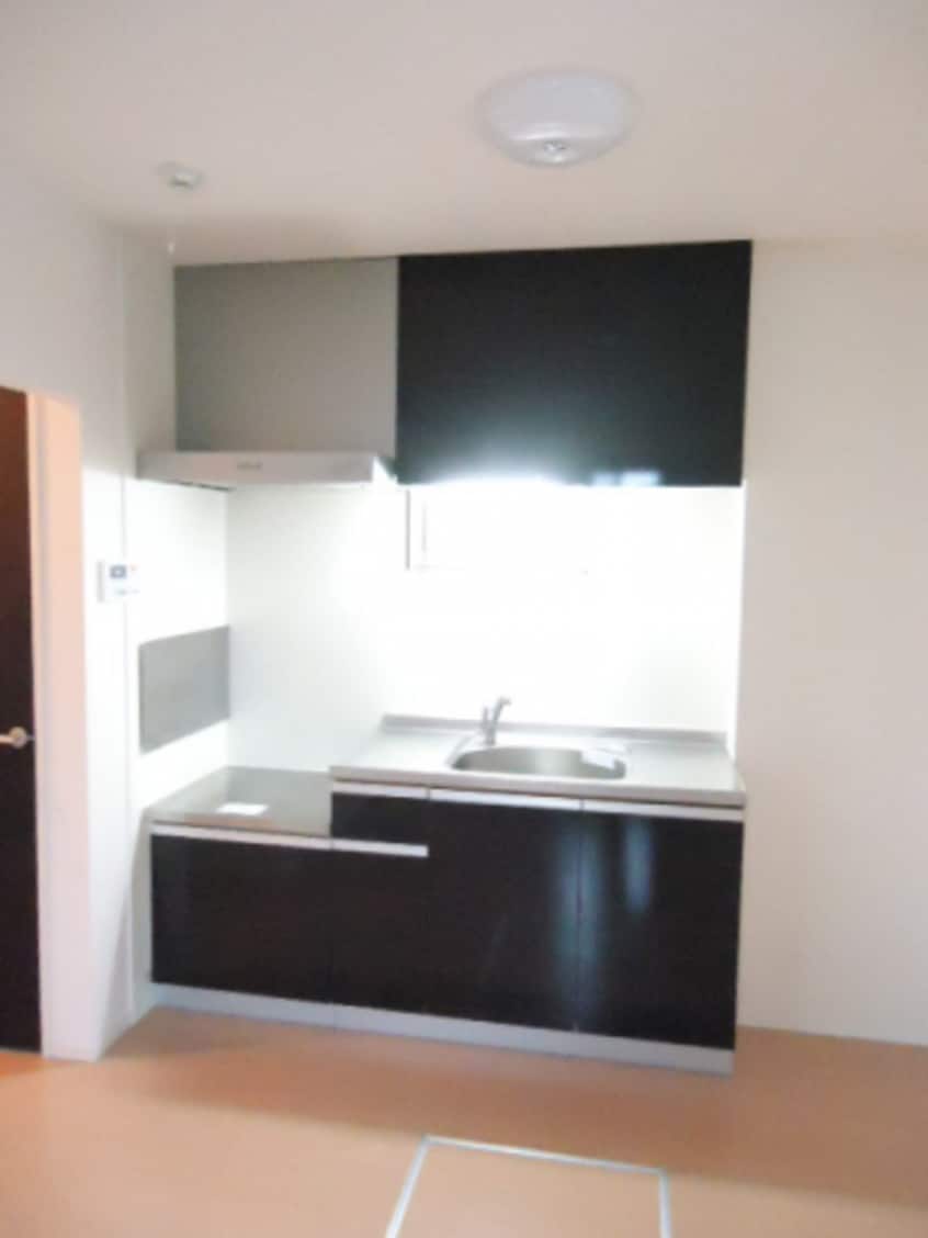  サニーリュート