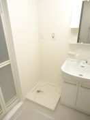  サニーリュート