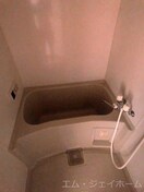  アヴニールタカラ