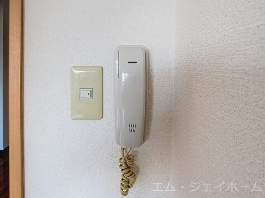  アヴニールタカラ