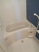  アガパンサスⅡ