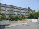 小学校まで1000m※大津市立唐崎小学校 alamode（アラモード）