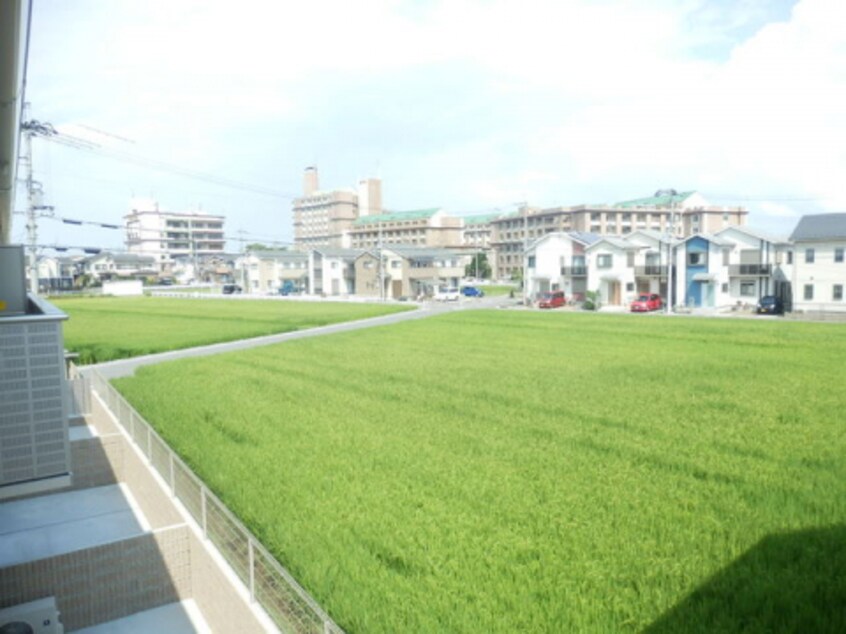  Ｒａｆｆｉｎｅ　Ｂｉｗａ