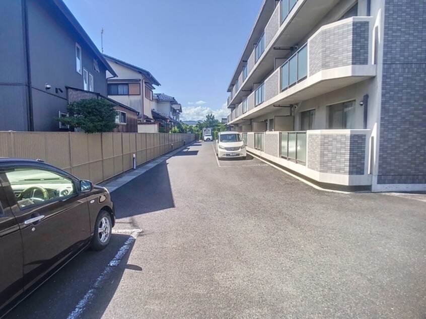  ブランコカメーリア