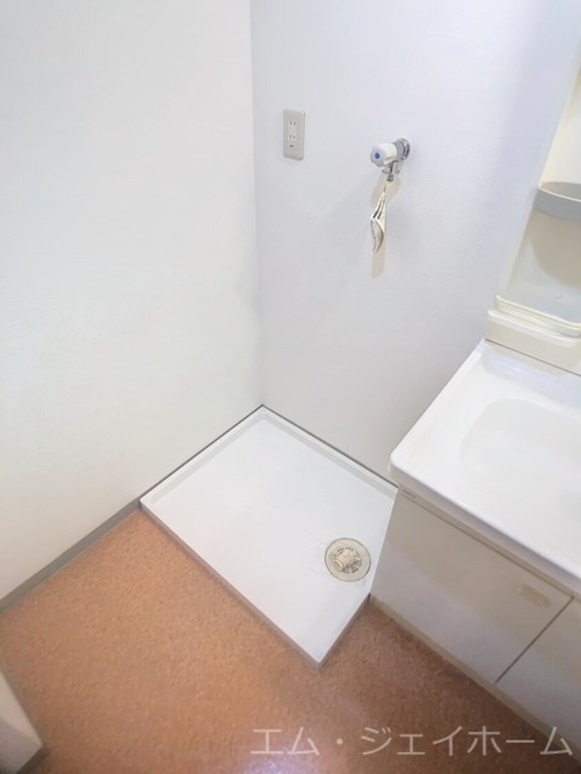  ブランコカメーリア