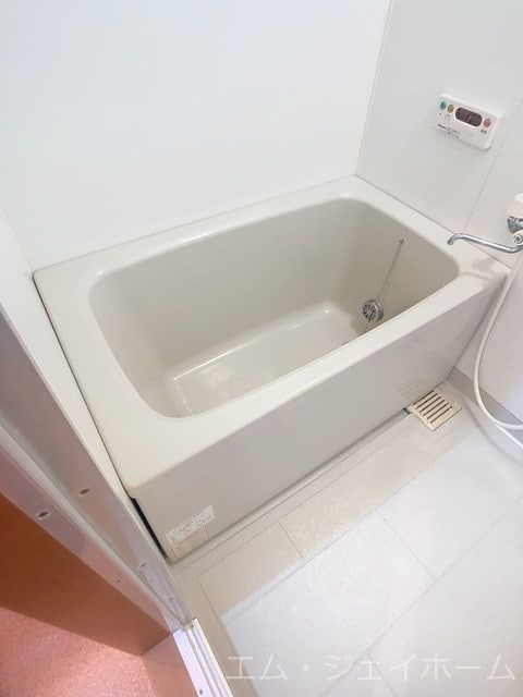  ブランコカメーリア