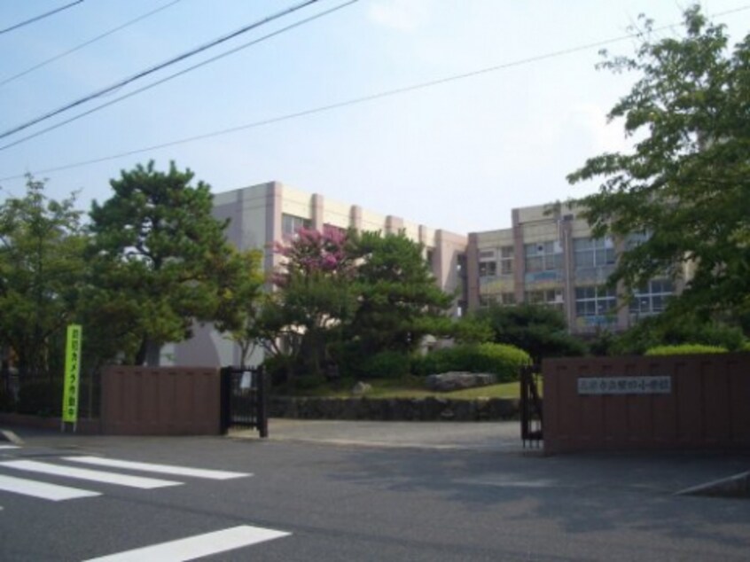 小学校まで554m※大津市立堅田小学校 Surfinia堅田
