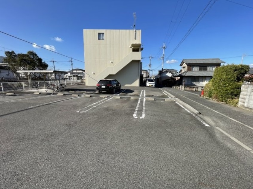  シーダーエース