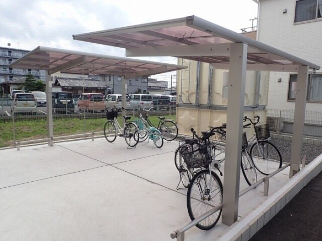  Ｃａｓａ　ｒａｆｆｉｎｅ　青地