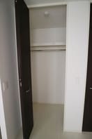  Ｃａｓａ　ｒａｆｆｉｎｅ　青地