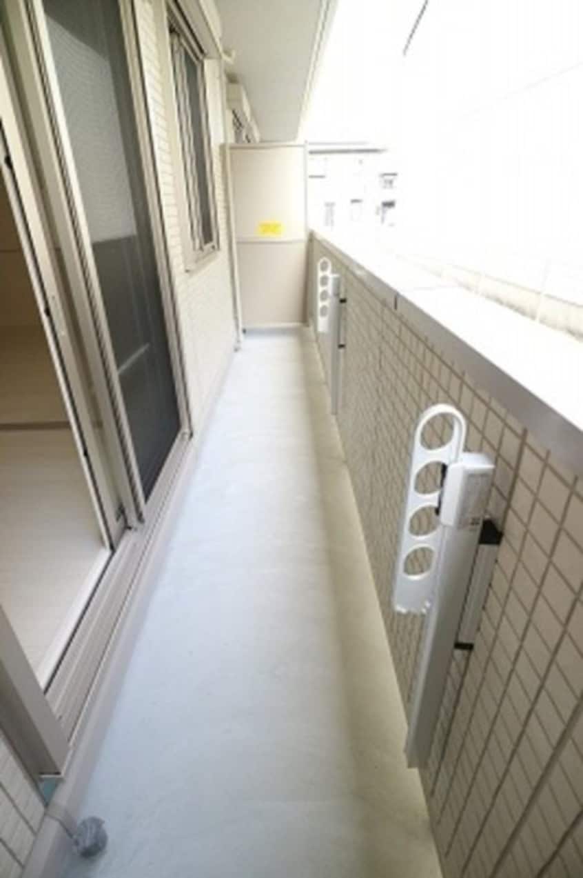  Ｃａｓａ　ｒａｆｆｉｎｅ　青地